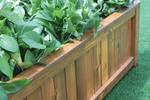 62077-hochbeet-bepflanzt-detail.png