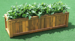 62077-hochbeet-bepflanzt.png