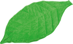 40239-Blatt-einzeln.png
