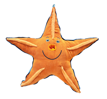 Seestern Mr. Bubbles Kuschelseestern und Activity Spiel 