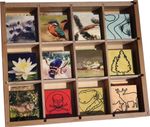 30291-1-box-der-natur.jpg