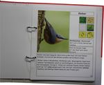 30291-2-box-der-natur.jpg