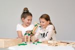 32100-13joinclips-kapla.jpg