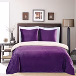 TEDDY-PURPLE1.jpg