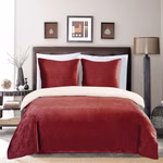 TEDDY-RED1.jpg