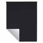 schwarz-frontal2.jpg
