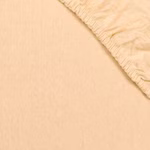 apricot04.jpg