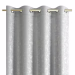 SILVER-3.jpg