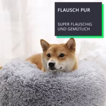 04-FLAU.jpg