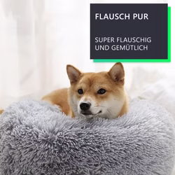 04-FLAU.jpg 04-FLAU.jpg