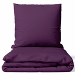 aubergine01.jpg