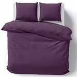 aubergine02-2.jpg