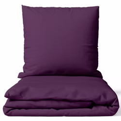 aubergine01.jpg aubergine01.jpg
