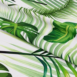 leaves01_1.jpg leaves01_1.jpg