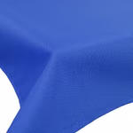 blau2.jpg