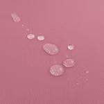 fuchsia.jpg