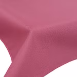fuchsia00.jpg