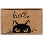 Hello Cat