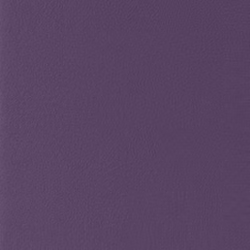 Farben-Violett.jpg Farben-Violett.jpg