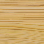 PNZ Stirnkantenwachs Farbbild PNZ Stirnkantenwachs Farbbild