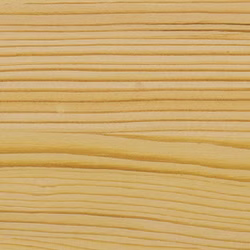 PNZ Stirnkantenwachs Farbbild PNZ Stirnkantenwachs Farbbild