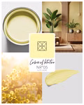 COLORS-OF-INTUITION-986223_44.jpg