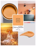 COLORS-OF-INTUITION-986223_62.jpg