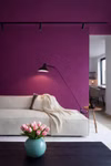 COLORS-OF-INTUITION-986223_8.jpg