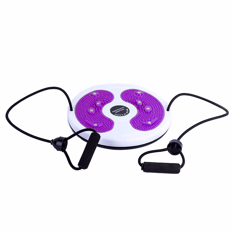 62297-Twister-mit-Seil-und-Handgriff--Drehteller--lila--Durchmesser-250-mm-Dicke-26-mm_1.jpg 62297-Twister-mit-Seil-und-Handgriff--Drehteller--lila--Durchmesser-250-mm-Dicke-26-mm_1.jpg