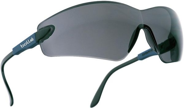 lag149073.jpg Bügelbrille Viper, getönt