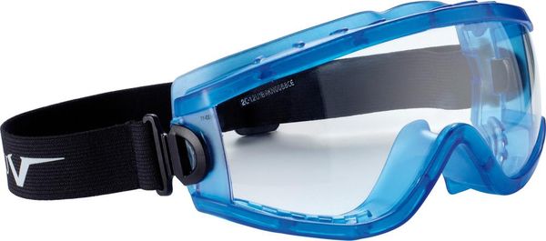 lag135175.jpg Vollsichtbrille Alcor, FORTIS