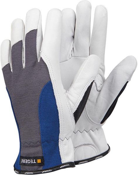 asg115193.jpg Handschuh 888, Rindnarbenleder, Gr.10 TEGERA