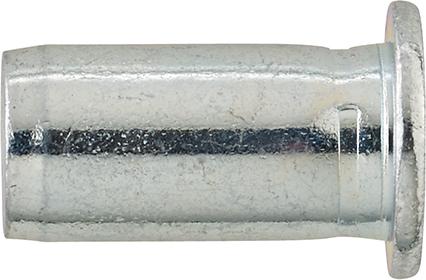 pre127497.jpg Blindnietmuttern PolyGripStahl M 8 x 11 x 20