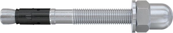 lag174921.jpg fischer Bolzenanker FAZ II 12/10 H R