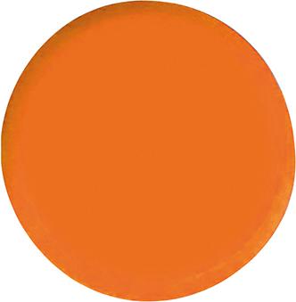 pre124044.jpg Organisationsmagnet rund orange 20mm Eclipse