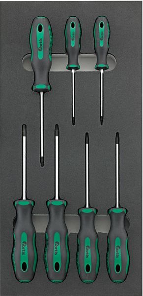 Werkzeugmodul 1/3 Schraubendr. Torx FORTIS
