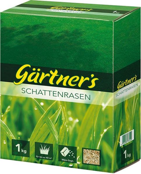 Schattenrasensamen 1 kg, FS Gärtners
