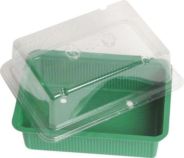 pim155893.jpg Mini-Treibhaus 20x15cm o. Untersetzer