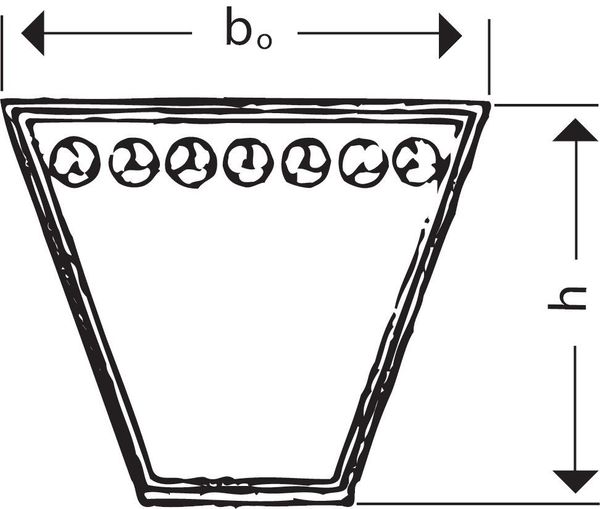 pim204213.jpg Schmalkeilriemen SPZ Richtlange: 1250 mm