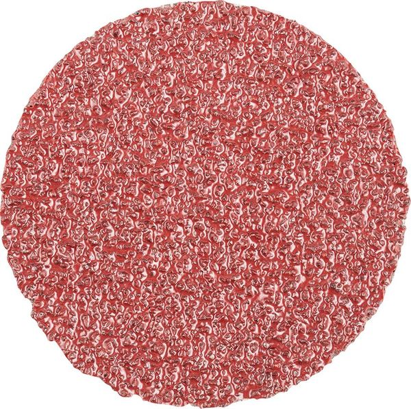 pre124647.jpg COMBIDISC Schleifblatt A 50mm K36 Rüggeberg