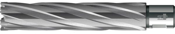 pre127572.jpg Kernbohrer HKE-L Weldon HM extralang, 31/110 mm BDS