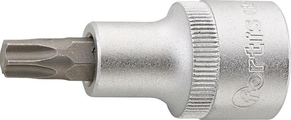 Schraubend.Eins. 1/2" T45x 55mm FORTIS