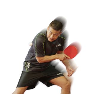 JOOLA CHEN WEIXING