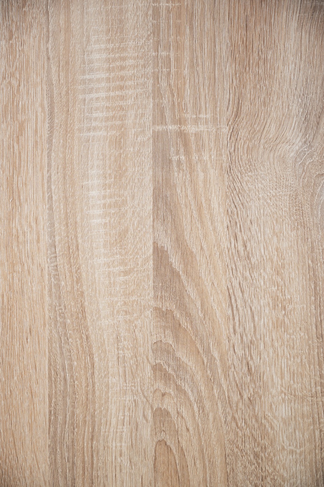 --10_3.JPG