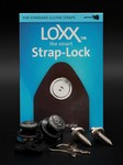 LOXX---Musik-Box-Standard-Evil-Skull-Gunmetal.jpg