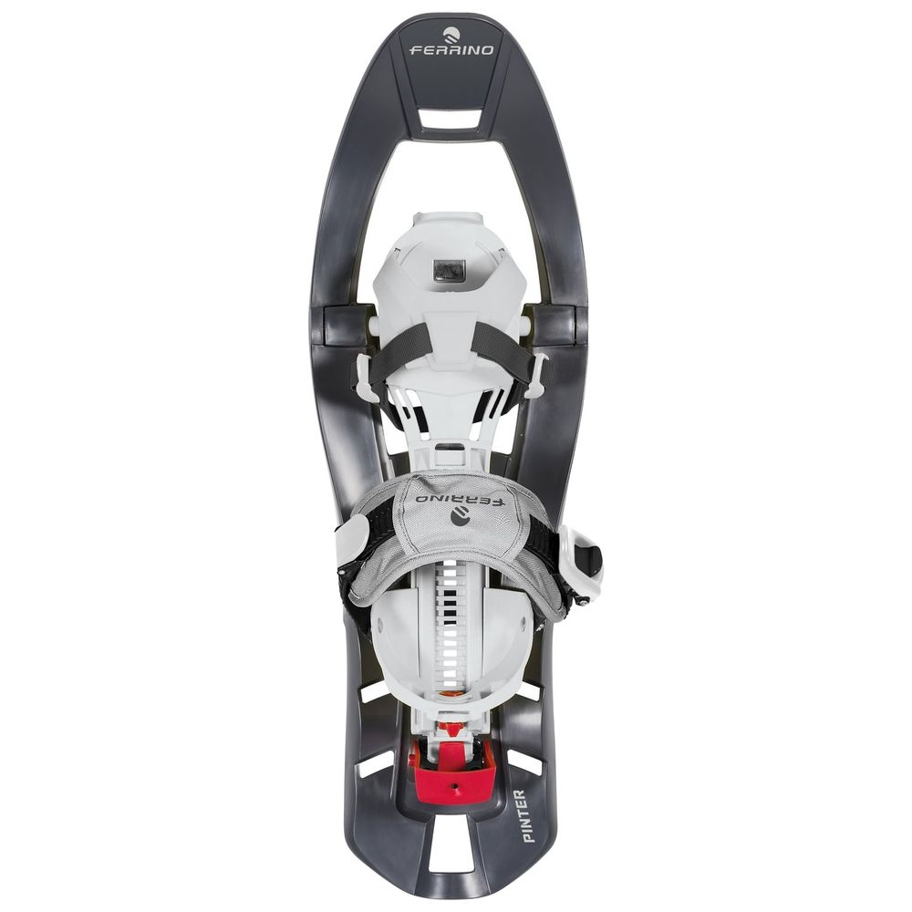 Pinter Special Schneeschuhe Grau Größe 34-48 Trekking 175kg