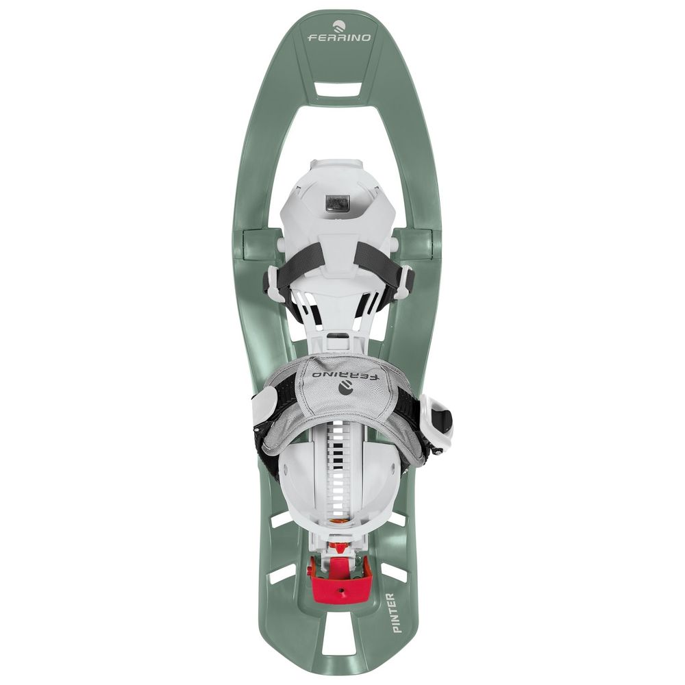Pinter Special Schneeschuhe Grün Trekking Größe 34-48 175kg