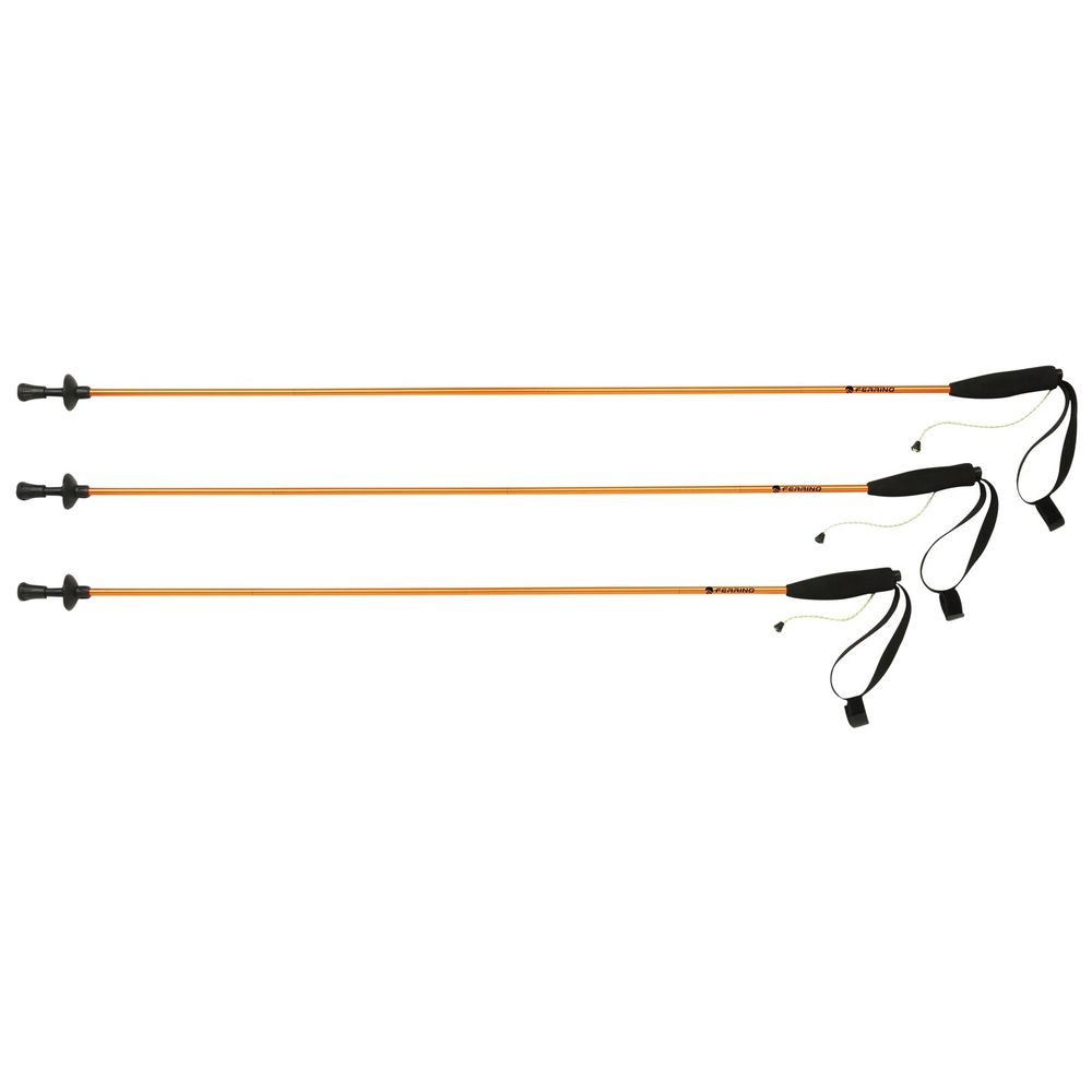 Eiger 115cm ultraleichte Stöcke für Trailrunning