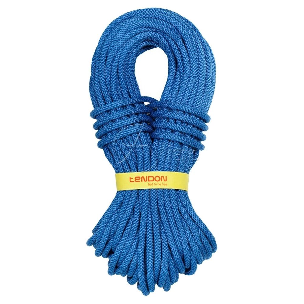 Tendon Ambition 10,5 Standard - Einfachseil