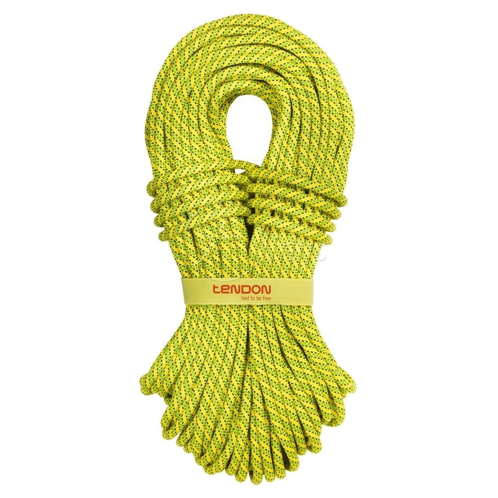 Tendon Ambition 9,8 Standard - Einfachseil